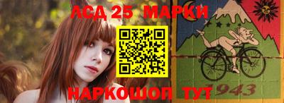 гидра Дмитров