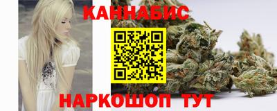 гидра Дмитров